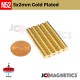 5mm x 2mm 13/64in x 5/64in N52 Gold Plated Discs Rare Earth Neodymium Magnet 5x2mm